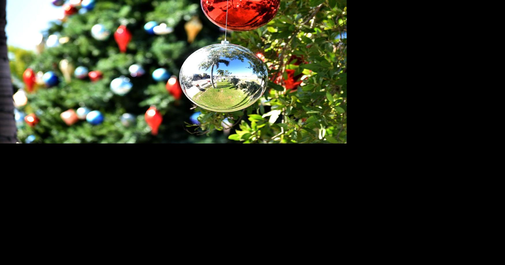 Antigua Christmas Eve Events 2022 Parties Pg Christmas Tree Lighting Event Shines Again | News | Yoursun.com