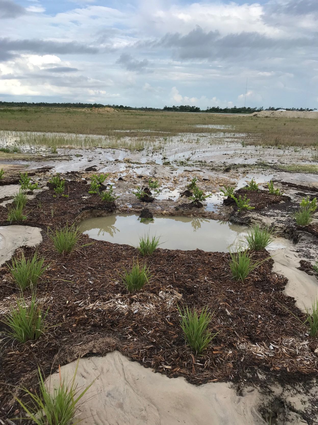 Spilled Ranch 385,000 gallons of recycled wastewater spill at Babcock Ranch | The ...