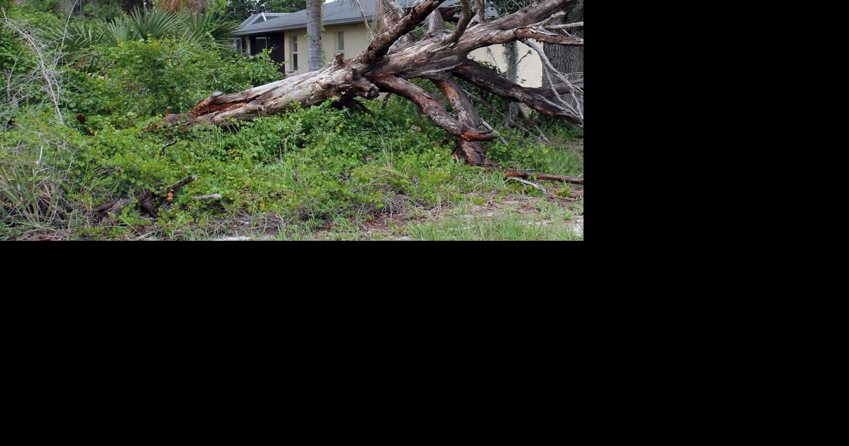 Storm lashes Lake Placid, Placid Lakes hit hard | Newsarchives ...