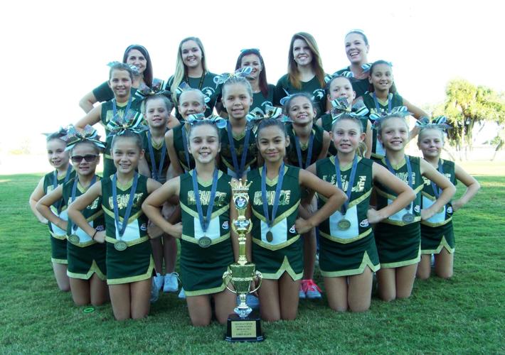Vikings cheer teams move on to regionals News Archives