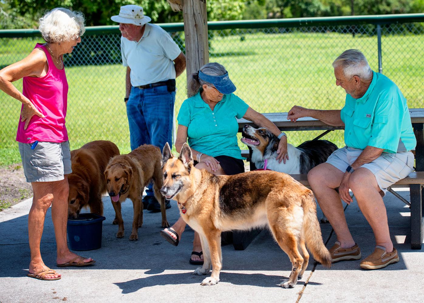 Punta Gorda seeks input on 'Hounds on Henry' dog park renovations
