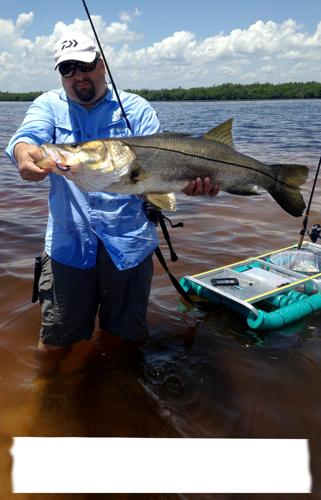 Snook secrets | Waterline | yoursun.com