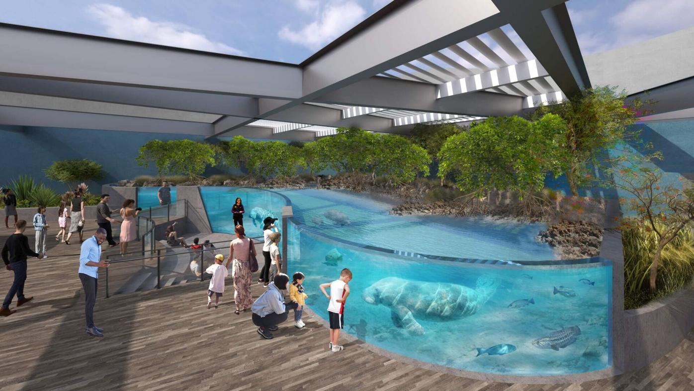 Mote's new aquarium may be as iconic as Sydney's famed opera house