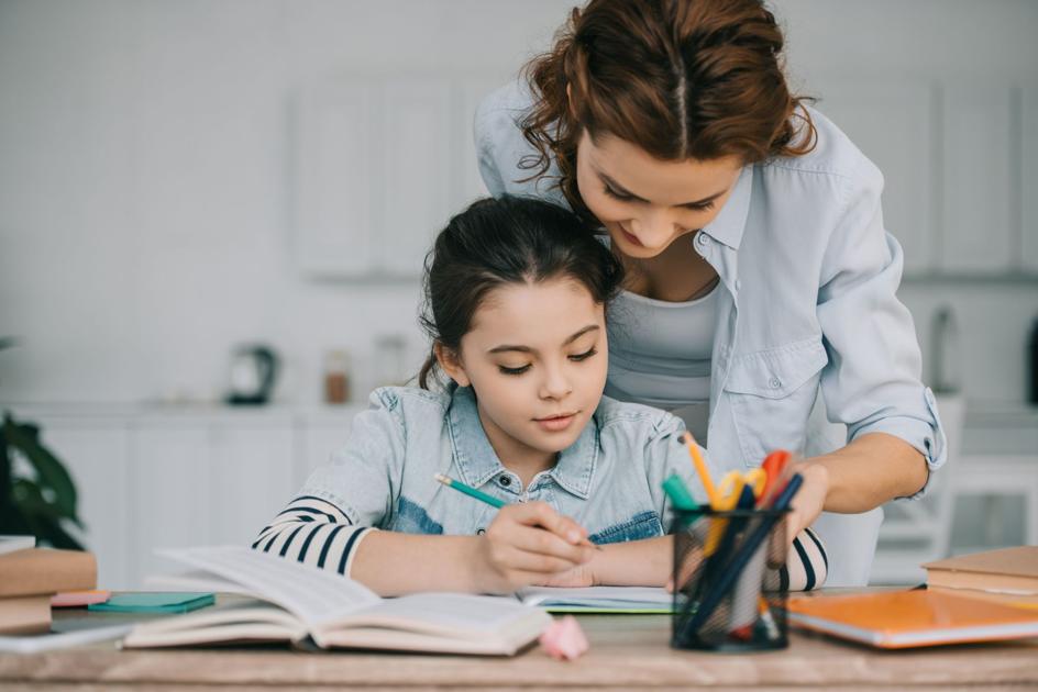 Online learning begins Monday, how will it work?