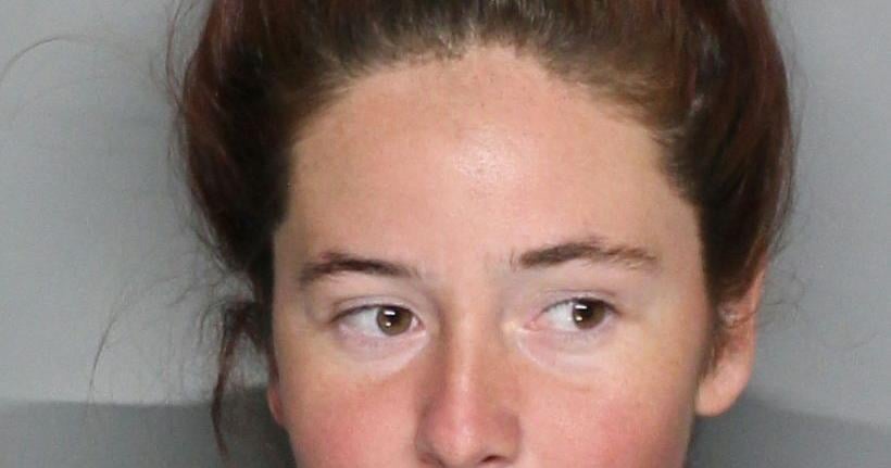 FHP: Woman leads officers on I-75 chase in stolen car; grand theft, DUI ...