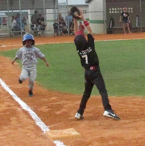 DeSoto County Youth Baseball Softball season comes to end News