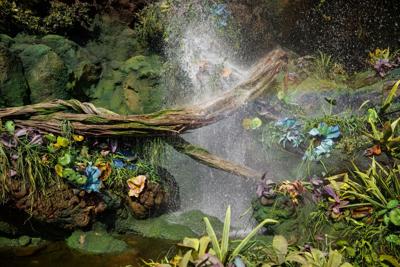 Waterfalls bathe a mix of natural and hand-made plants