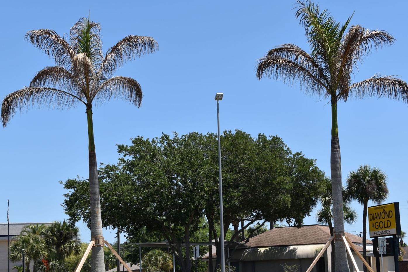 Acer Granite Corp Remodeling Contractor Port Charlotte Fl Projects Photos Reviews And More Porch