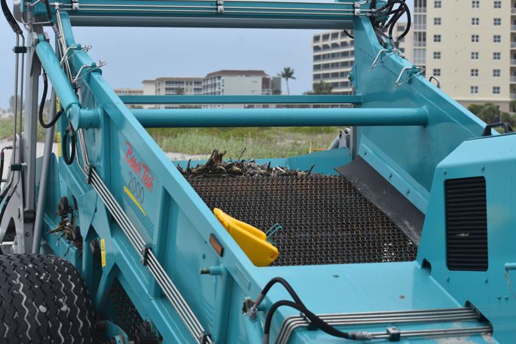 Gulf homeowners stuck with dead fish | News | yoursun.com