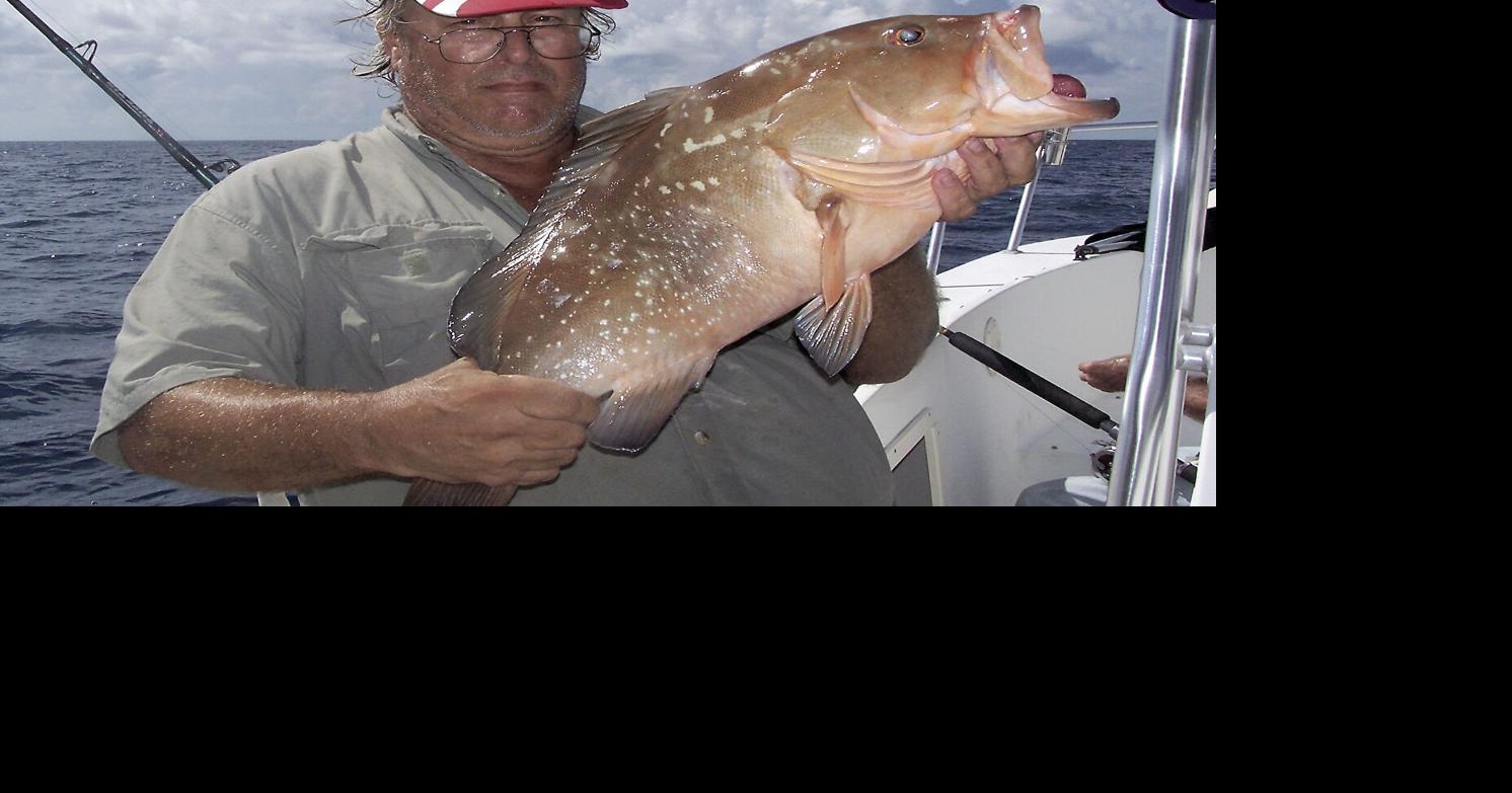 How to find fish Waterline