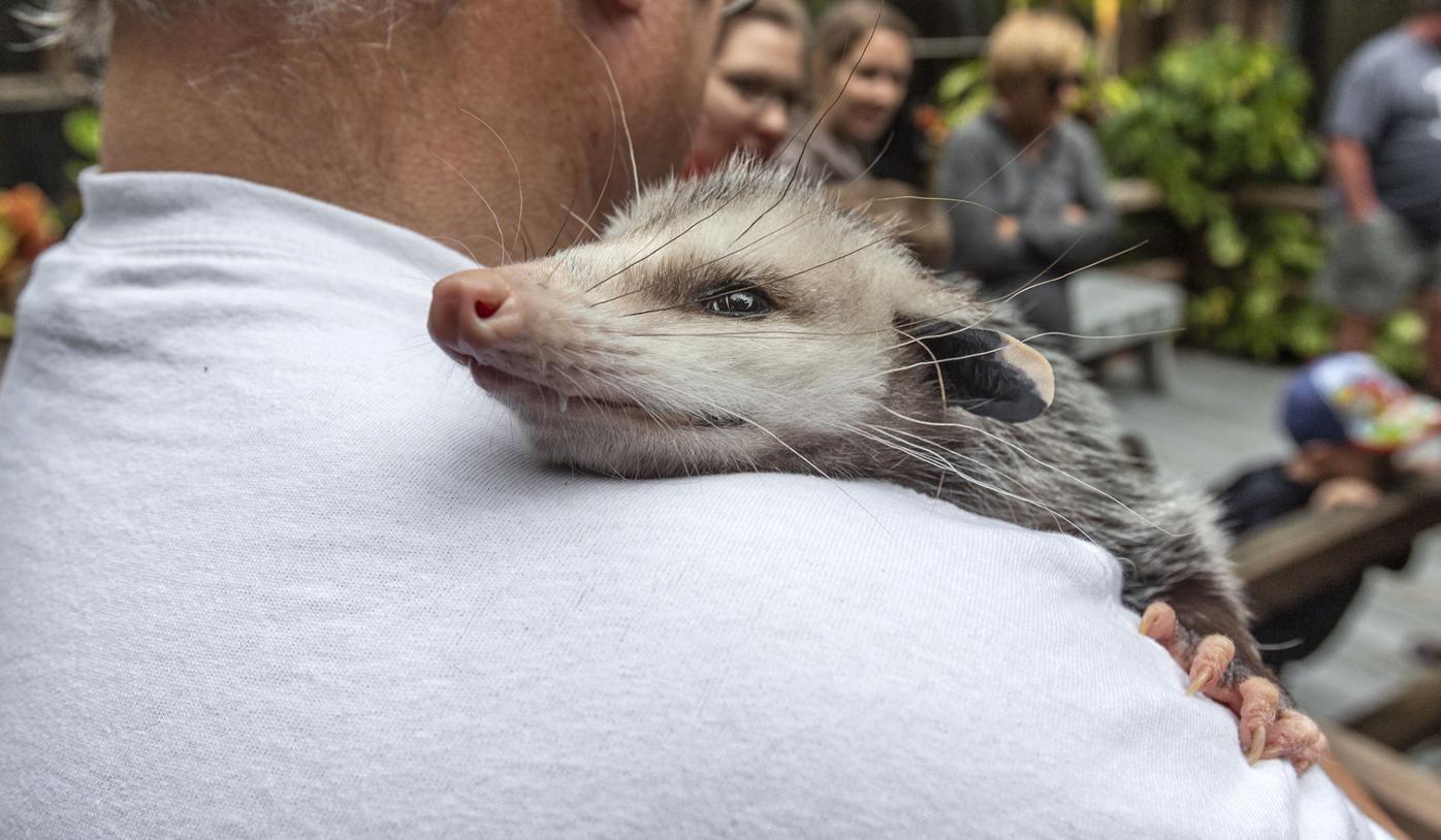Possum 2022 Review