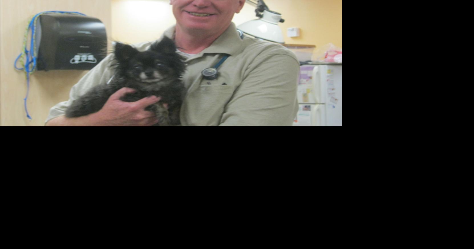 New local vet specializes in spinal surgery News Archives