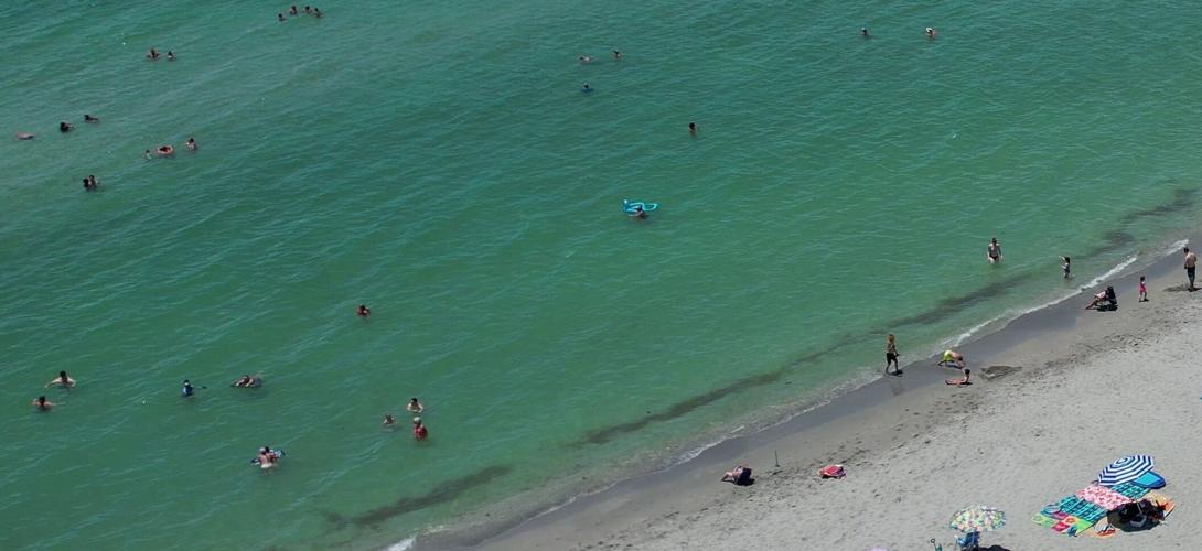 Red tide lingering off beaches near Venice, points north The