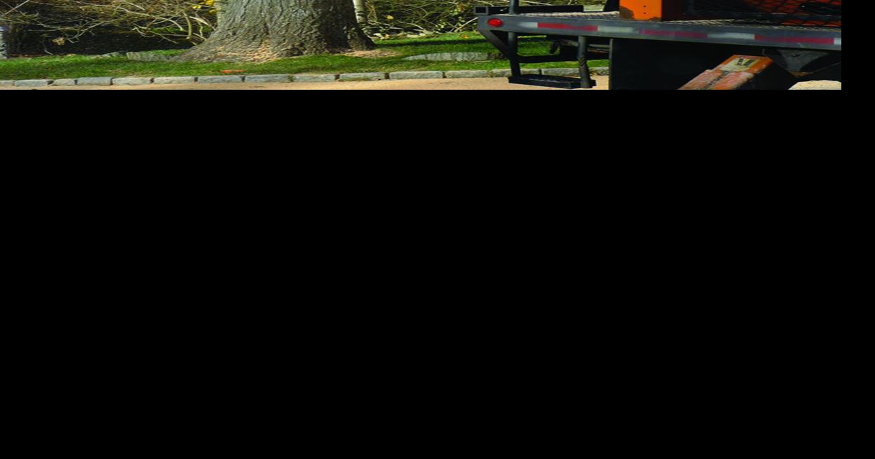 Pruning trees a job best left to the pros | Newsarchives | yoursun.com