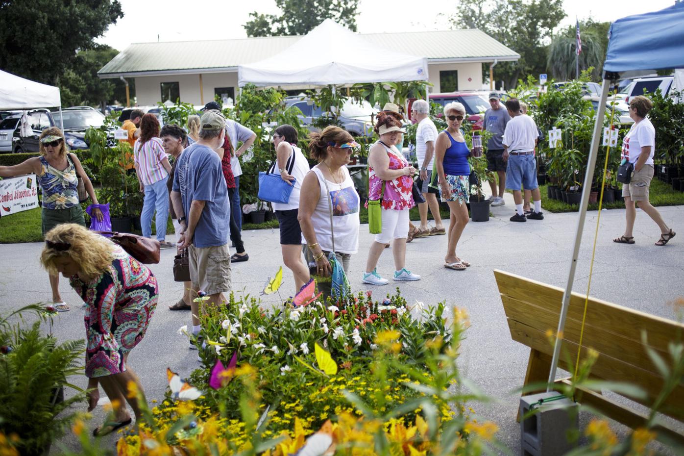 Lake Placid Caladium Festival 2022