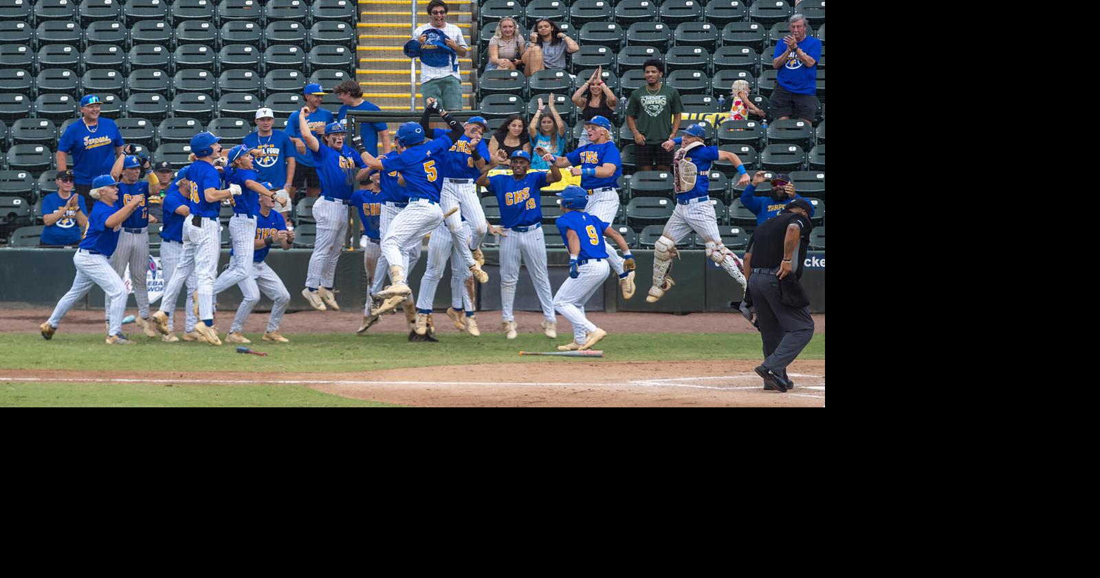 BASEBALL: Charlotte loses on a walk-off in state semifinal round