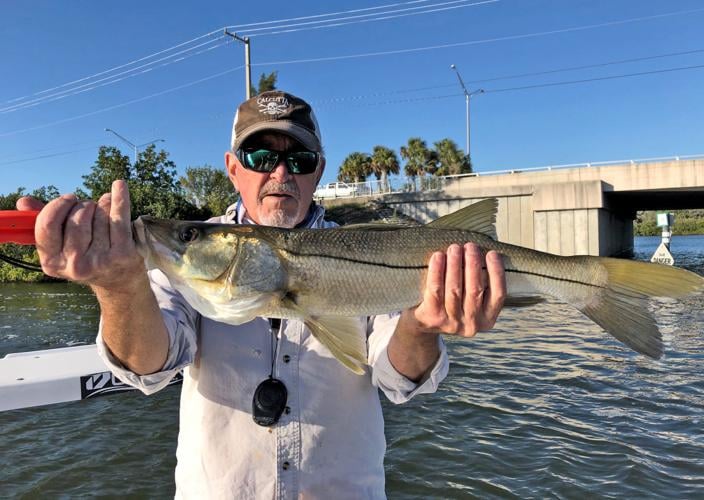 Reader photos | Waterline | yoursun.com