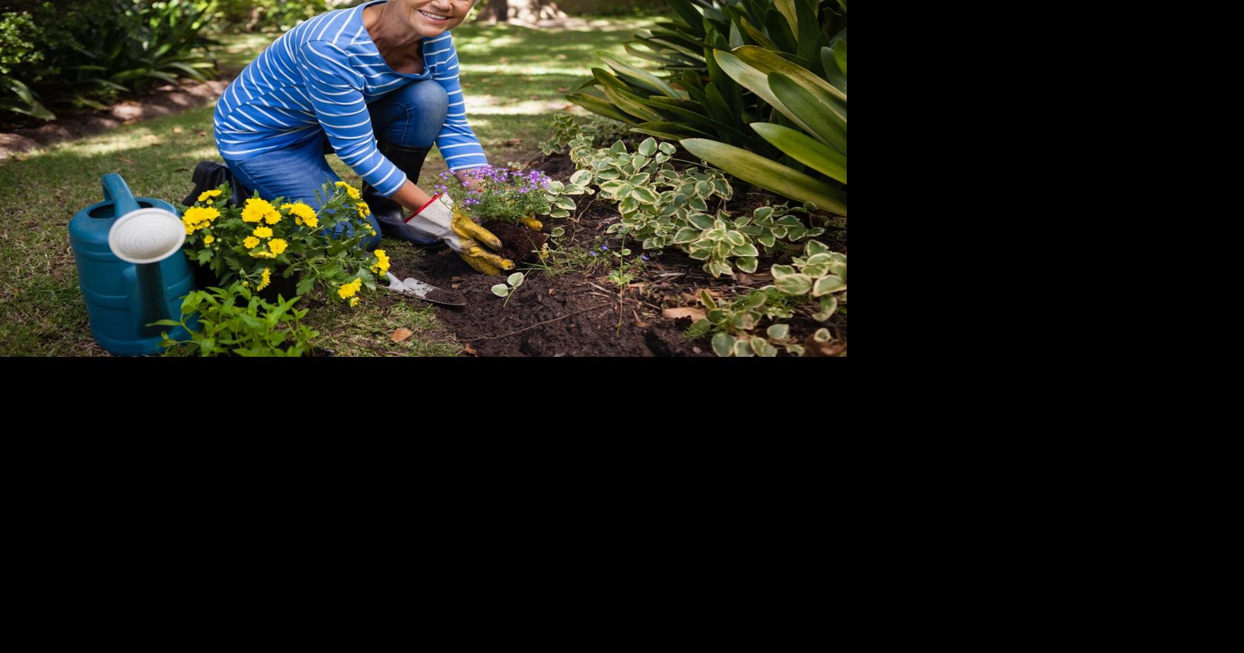 Gardeners often hear about supposed hacks and quick fixes. Here are some common ones debunked