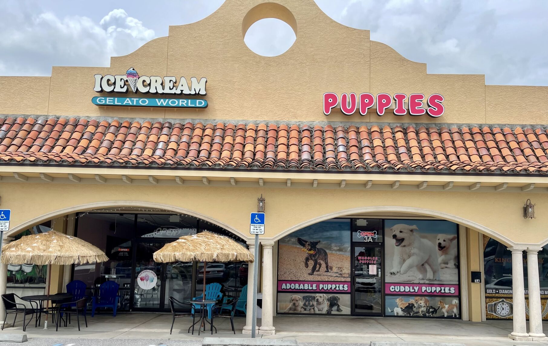 New Charlotte pet store sells pups next to ice cream parlor