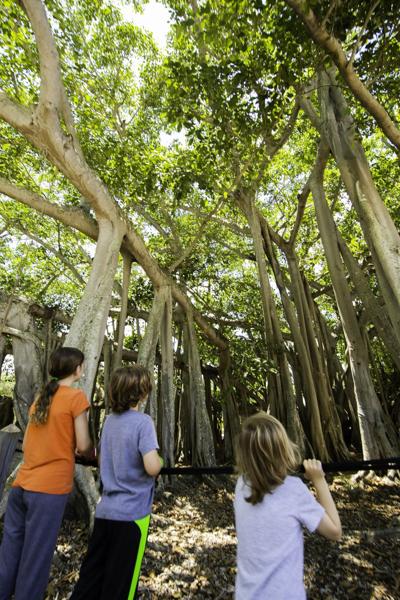 New Kids Garden Adventure Event Offered At Edison And Ford Winter