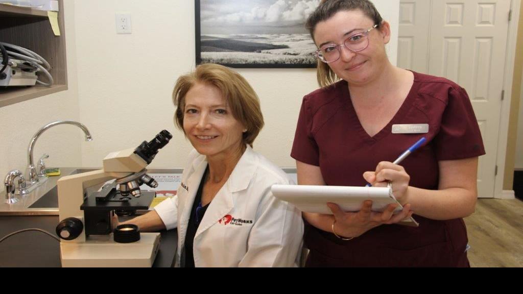 Petworks Cat Clinic Opens On Venice Avenue Business Yoursun Com