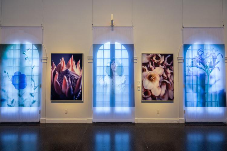 Goldsmith offers her 'Shared Light' at Selby Gardens