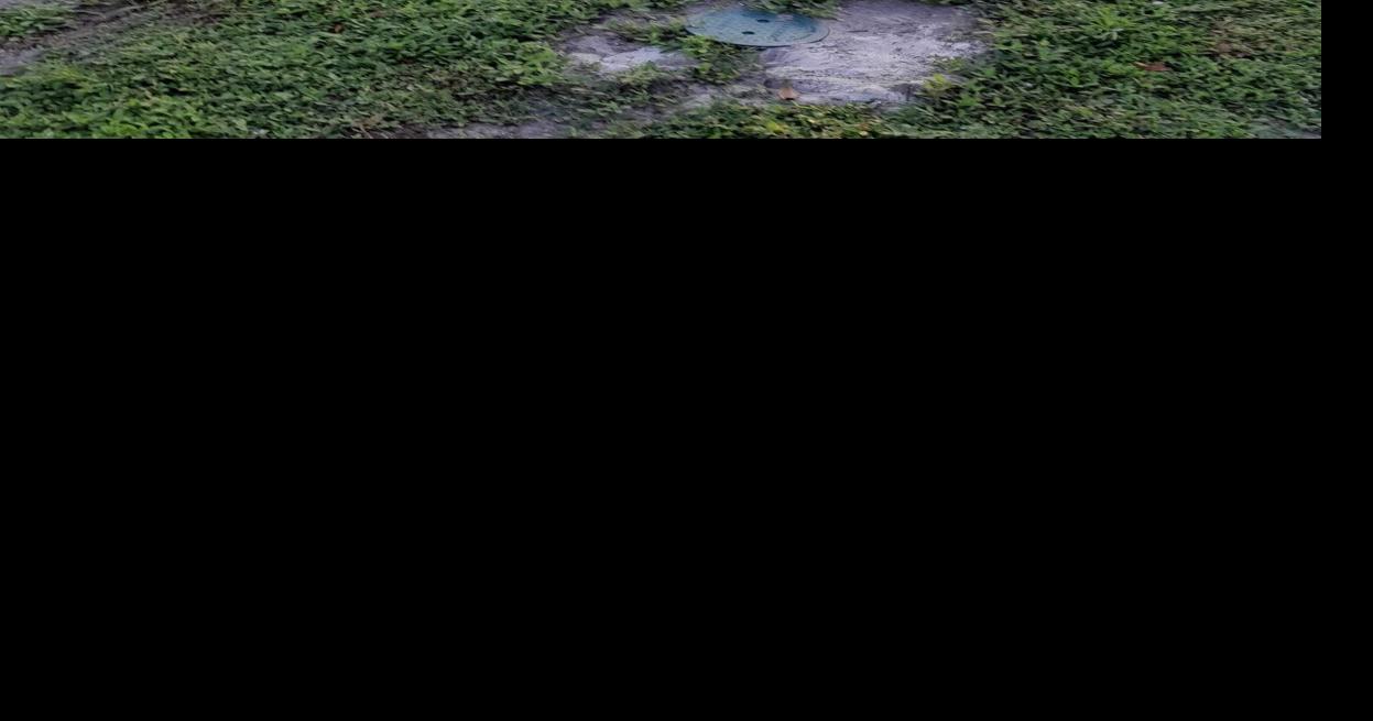 Englewood's Peace Pole takes a hit The Daily Sun