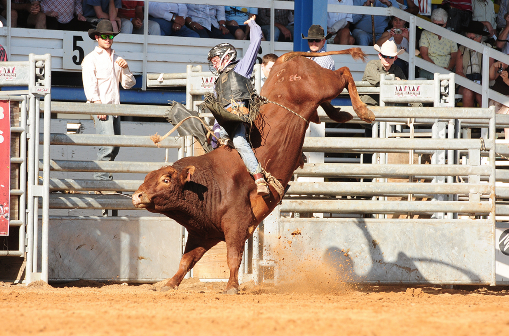 Florida's longest-running rodeo is this weekend | The Daily Sun ...
