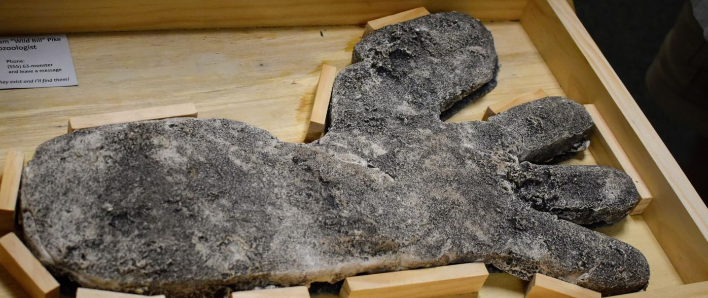 6 Skunk Ape sightings in Charlotte, 8 in Sarasota. Are you a believer