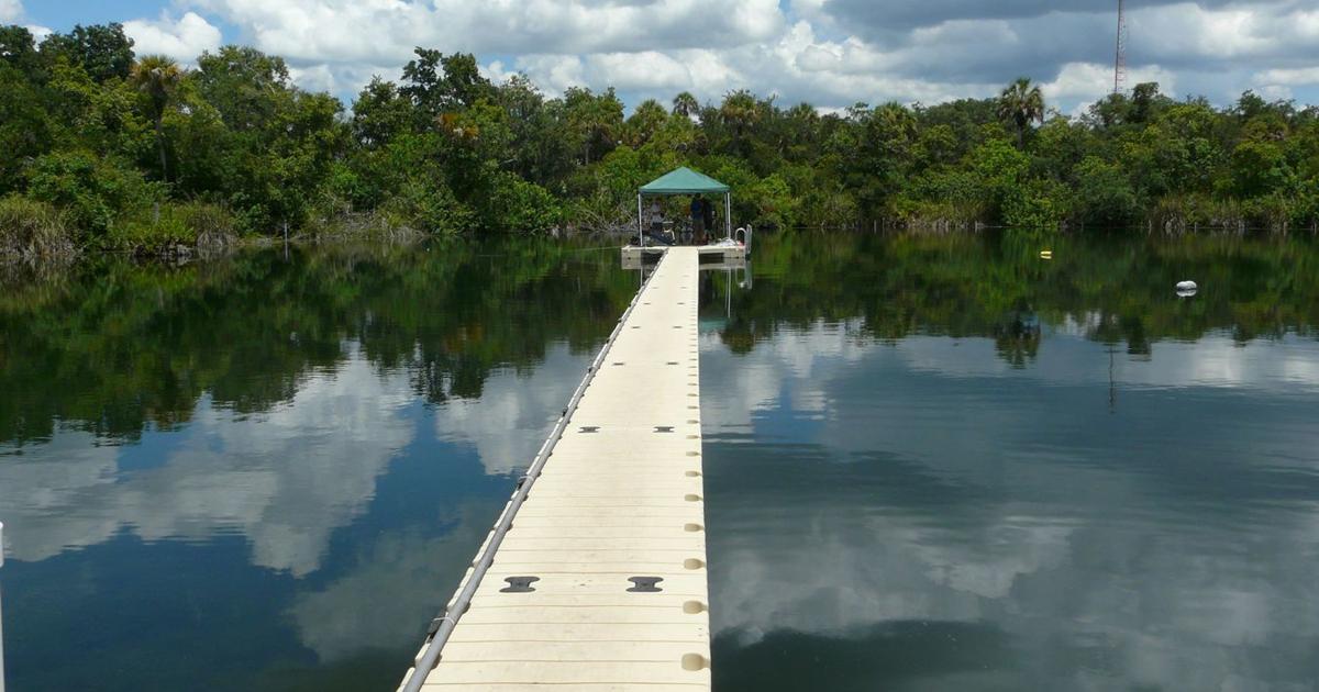 Support running high for Little Salt Spring acquisition | News Archives ...