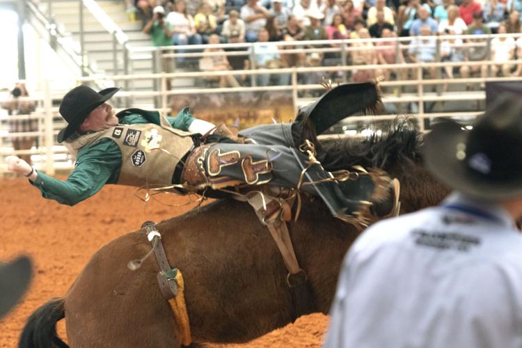 Arcadian Rodeo underway | News | yoursun.com