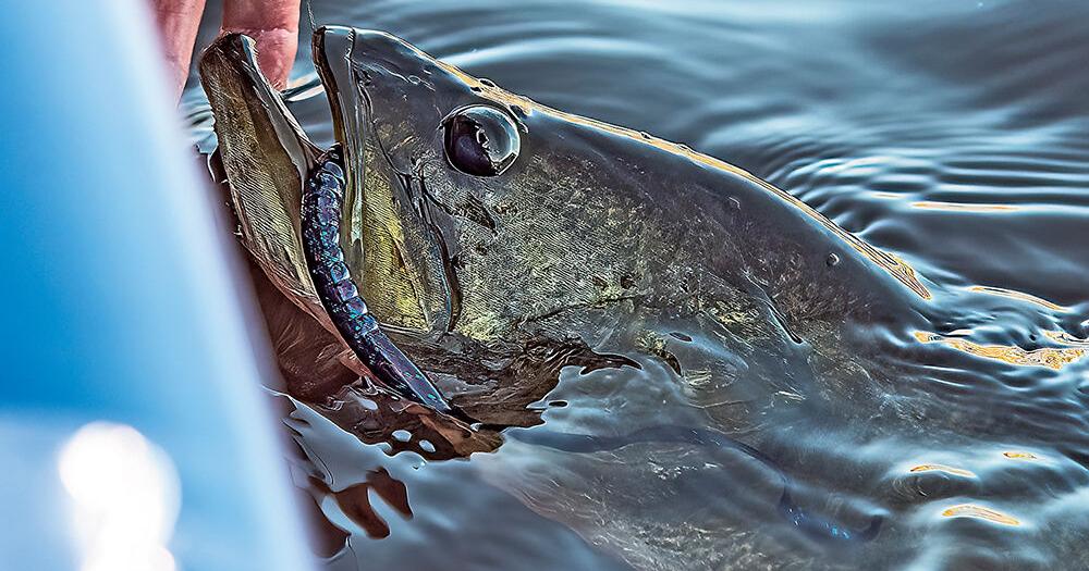 Finding a rod that really fits | Waterline | yoursun.com