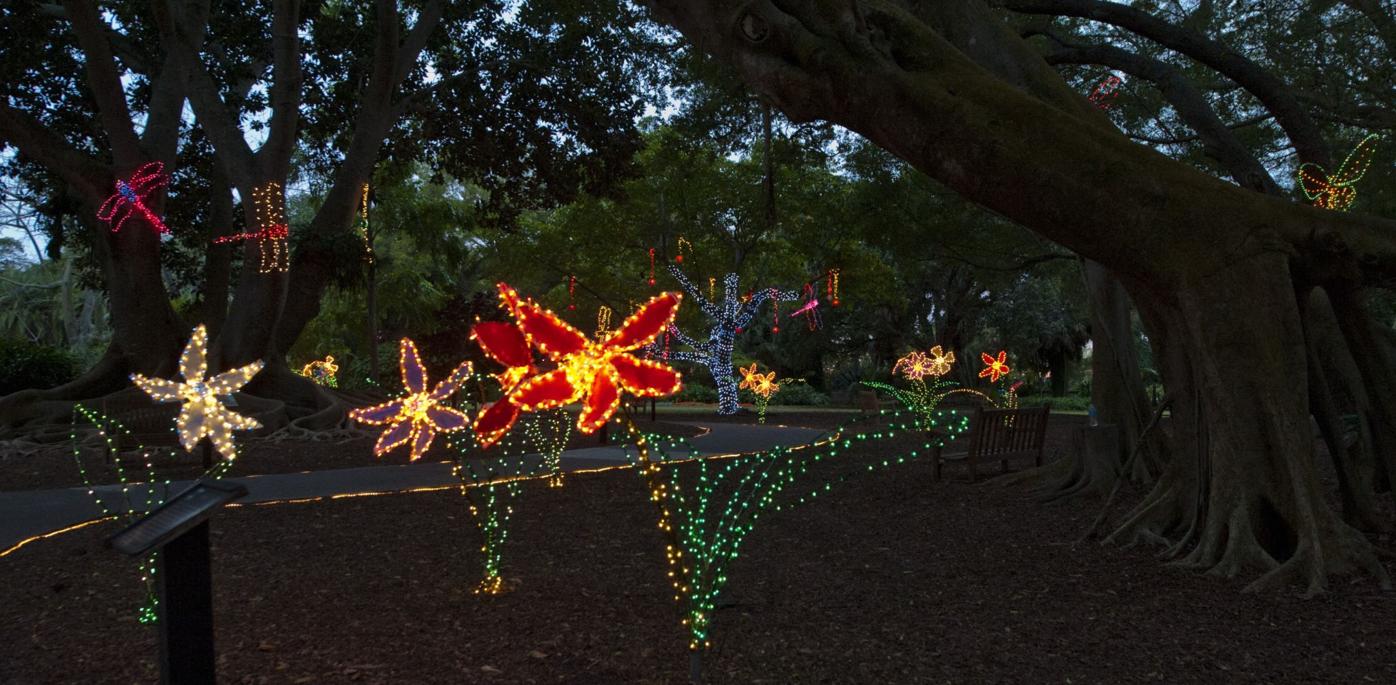Lights in Bloom An openair holiday light show returns to Selby