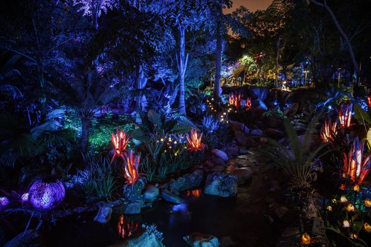 Pandora's bioluminescent forest