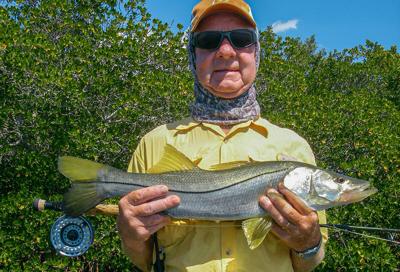 Snook on fly