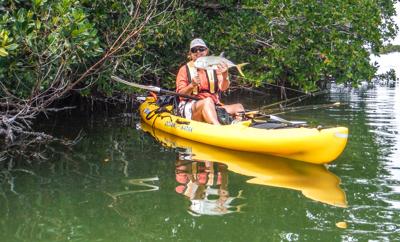 Into The Trees The Challenges Of Fishing The Mangroves From A Kayak Waterline Yoursun Com