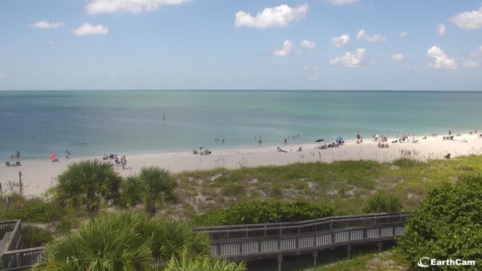 You Can Now Watch Englewood Beach Online Anytime Anywhere