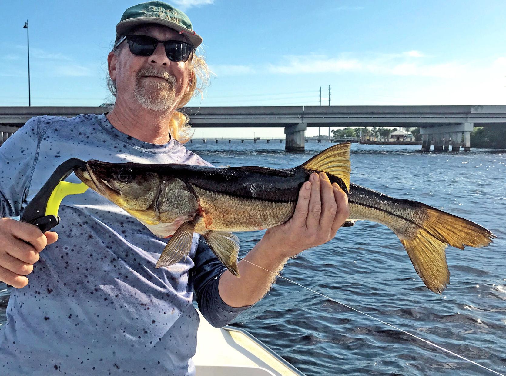 Snook in fresh water Waterline