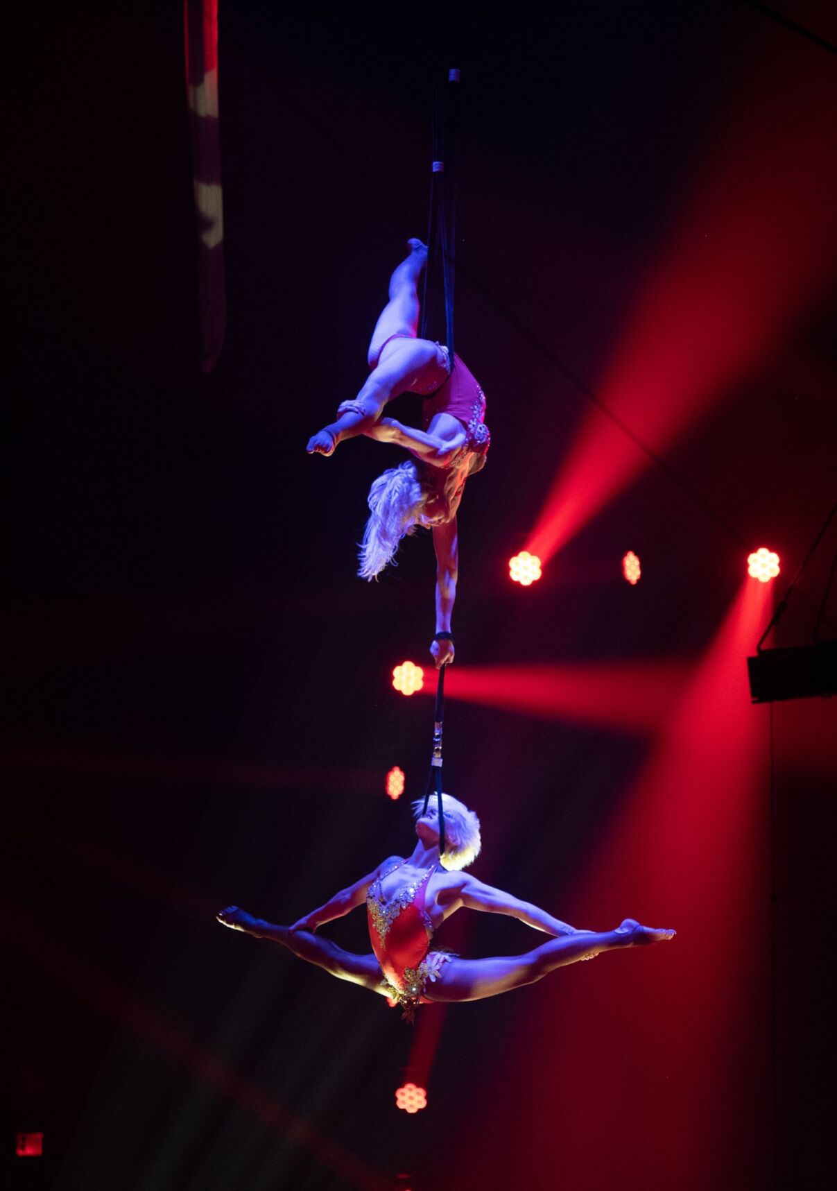 Summer Circus Spectacular offered at Asolo News yoursun