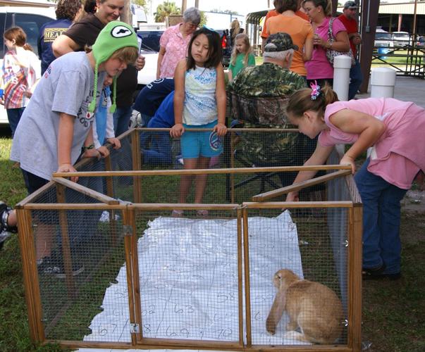 4H holds rabbit and poultry swap meet News Archives