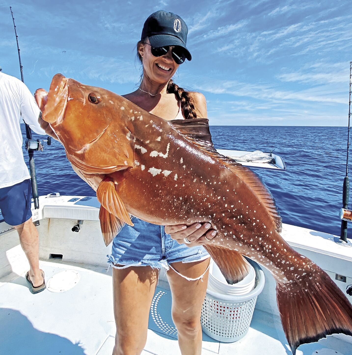 Red grouper deals fish