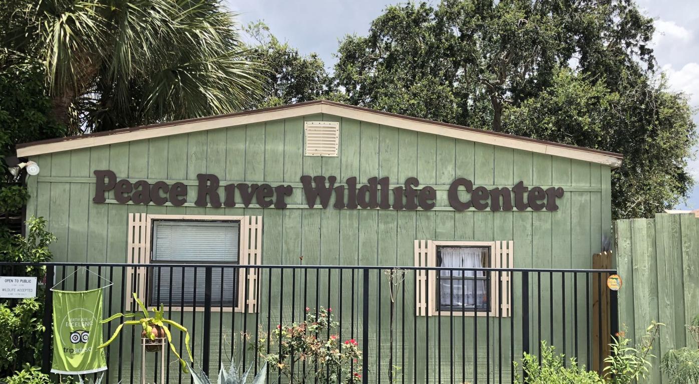 Wildlife Center Looking To Expand News Yoursun Com