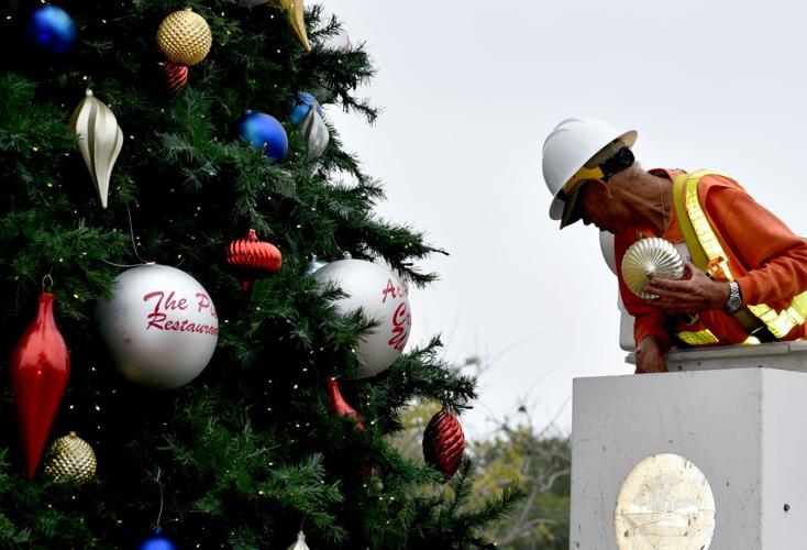 Squirrels damage Punta Gorda's Christmas tree Port Charlotte News