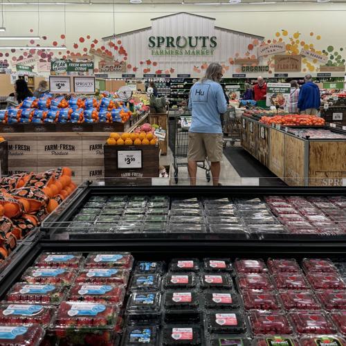 Sprouts plants new roots Port Charlotte News