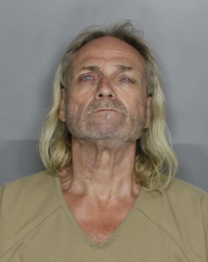 CCSO: Man fired shots into neighborhood