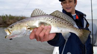 Fwc Extends Snook And Redfish Closure Adds Trout Waterline