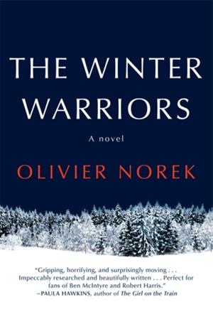 Why Olivier Norek’s ‘Winter Warriors’ is a ‘timely’ book, says its translator