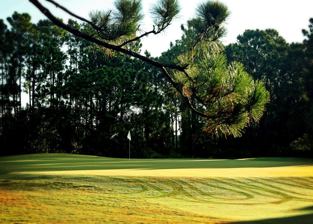 pinemoor west golf club, rotonda, Florida Golf course information and