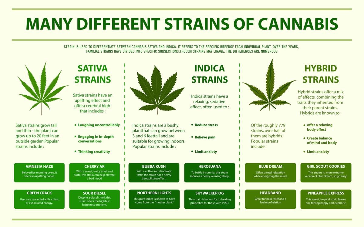 High profile Medical marijuana use on the rise Feeling Fit