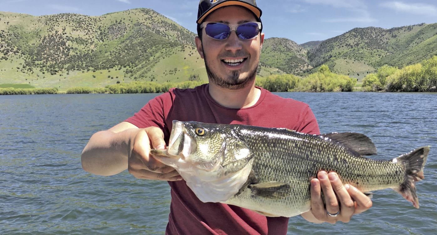 Bass fishing in salt water: You probably already know more about